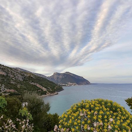 Appartamento A 50 Mt Dal Mare Cala Gonone Esterno foto