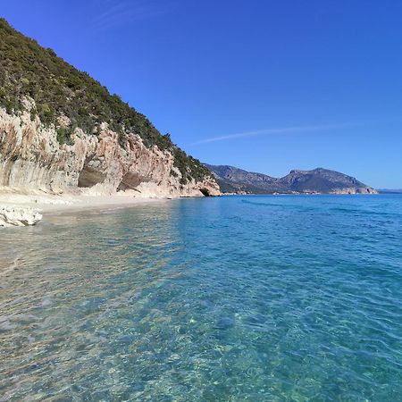 Appartamento A 50 Mt Dal Mare Cala Gonone Esterno foto