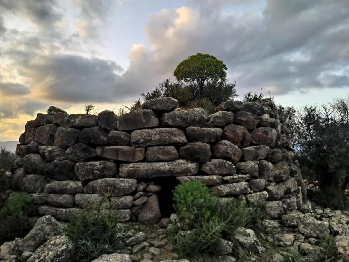 Appartamento A 50 Mt Dal Mare Cala Gonone Esterno foto