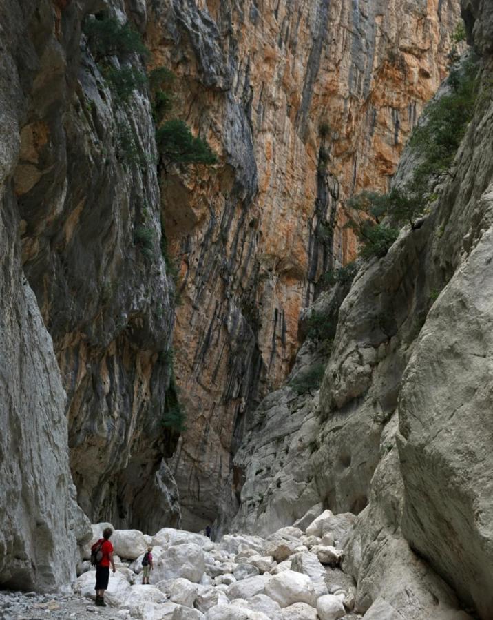 Appartamento A 50 Mt Dal Mare Cala Gonone Esterno foto