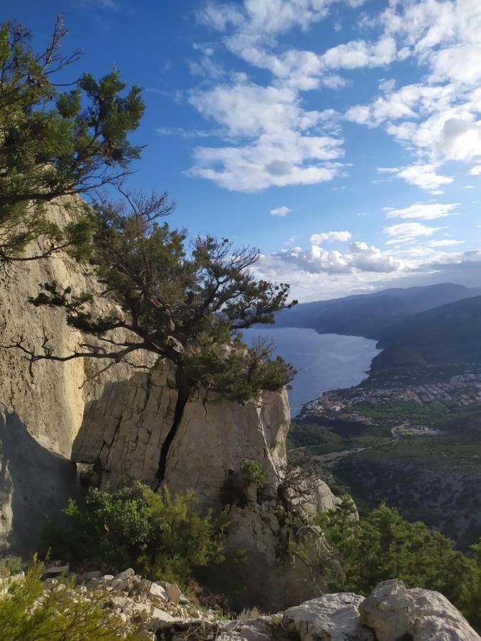 Appartamento A 50 Mt Dal Mare Cala Gonone Esterno foto