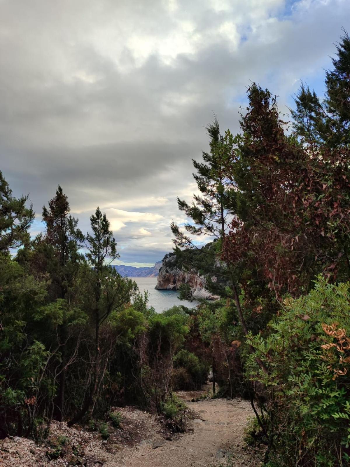 Appartamento A 50 Mt Dal Mare Cala Gonone Esterno foto